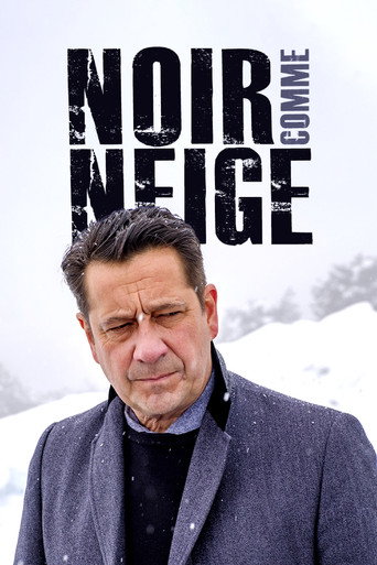 Póster de Noir comme neige