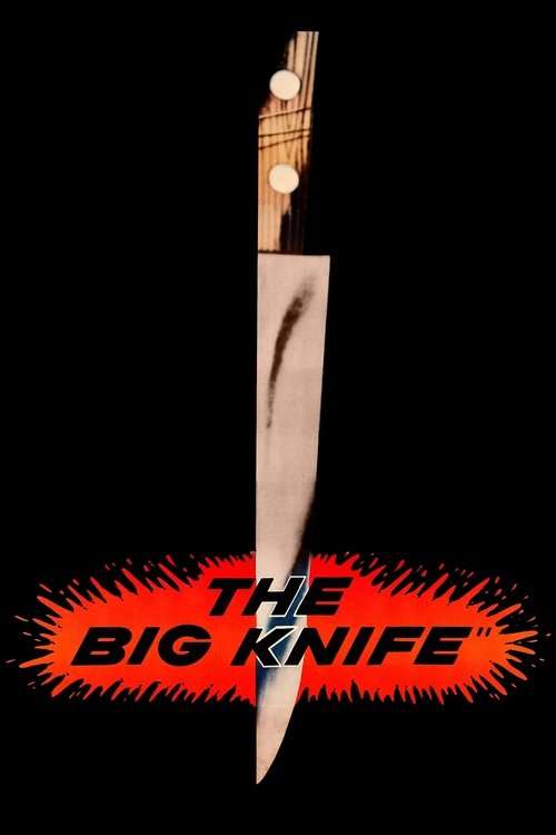 Póster de The Big Knife