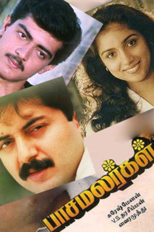 Póster de பாச மலர்கள்