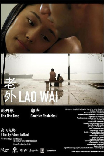 Póster de 老外