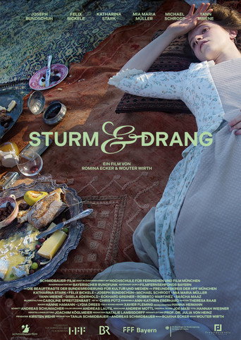 Póster de Sturm & Drang