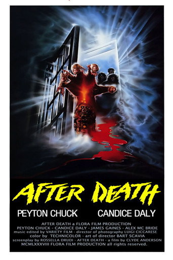 Póster de After Death - Oltre la morte