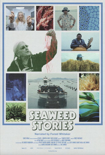 Póster de Seaweed Stories