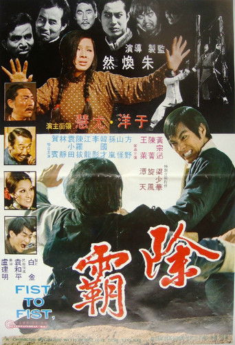 Póster de 除霸