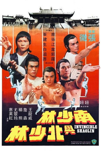 Póster de 南少林與北少林