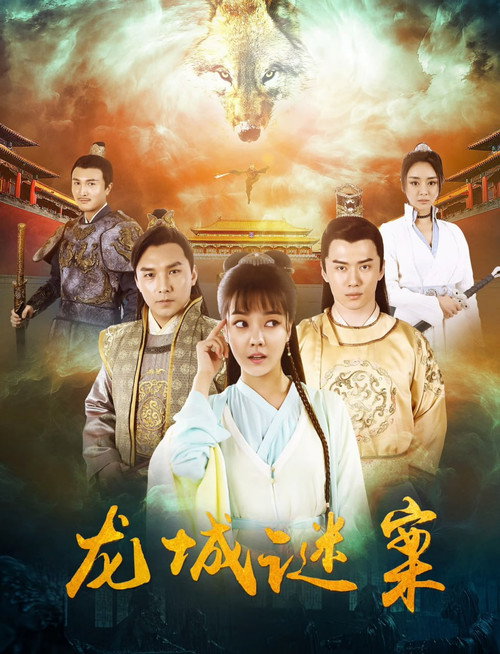 Póster de 龙城迷案