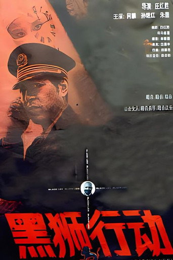 Póster de 黑狮行动