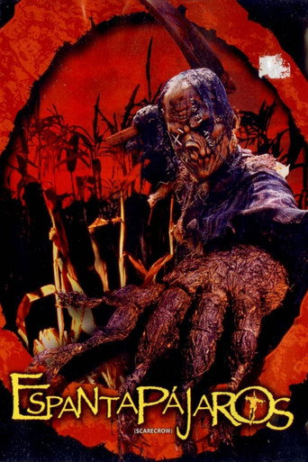 Póster de Scarecrow