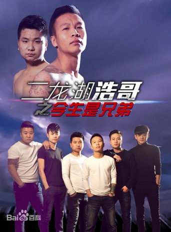 Póster de 二龙湖浩哥之今生是兄弟