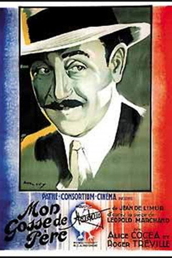 Póster de Mon gosse de père