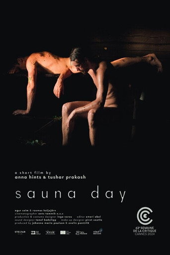 Póster de Sannapäiv