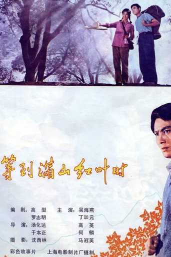 Póster de 等到满山红叶时