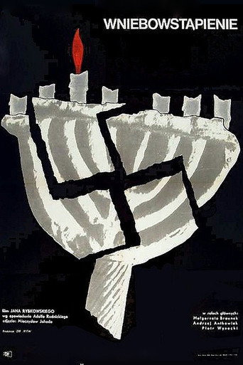 Póster de Wniebowstąpienie