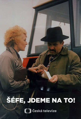 Póster de Šéfe, jdeme na to!