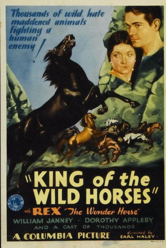 Póster de King of the Wild Horses