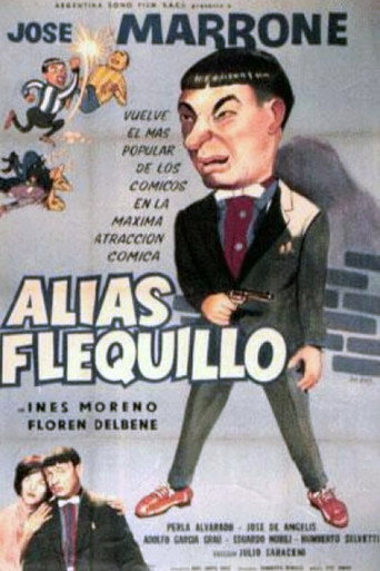 Póster de Alias Flequillo
