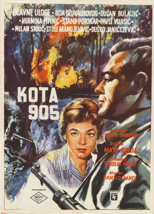 Póster de Kota 905