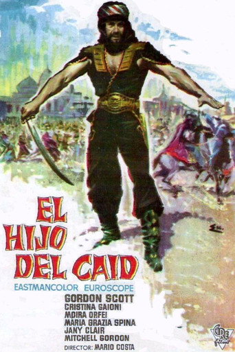 Póster de Il figlio dello sceicco