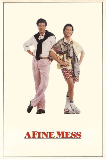 Póster de A Fine Mess
