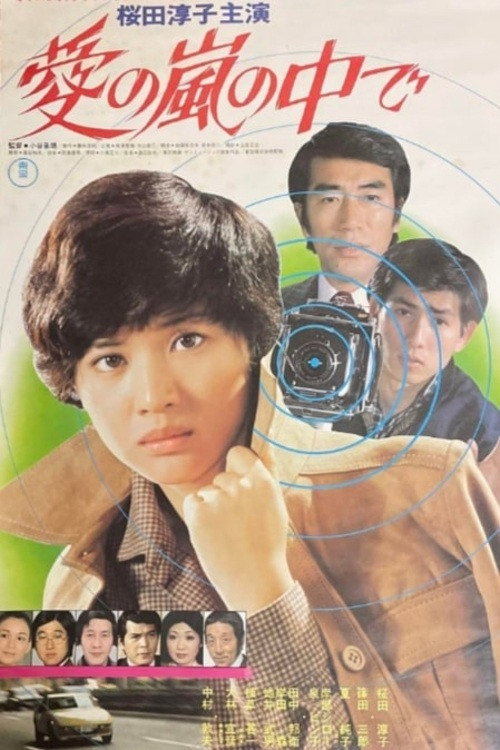 Póster de 愛の嵐の中で