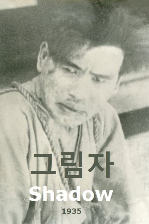 Póster de 그림자