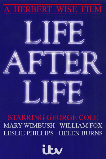 Póster de Life After Life