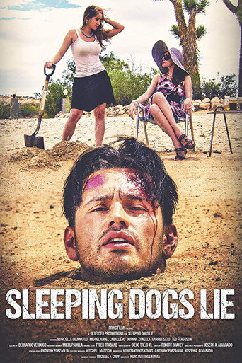 Póster de Sleeping Dogs Lie