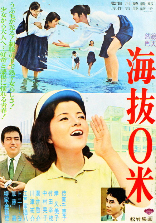 Póster de 海抜0米