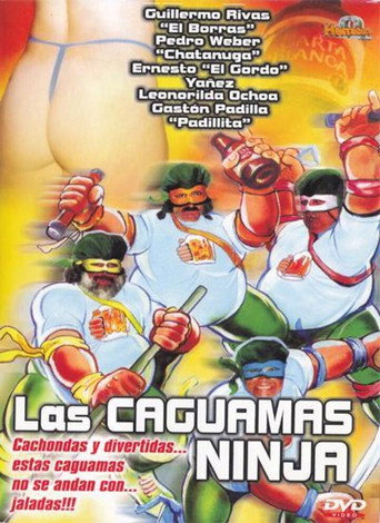 Póster de Las caguamas ninja