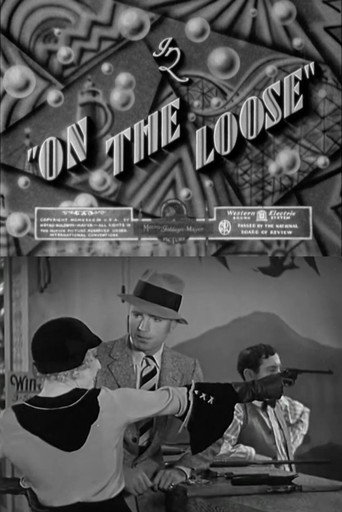 Póster de On the Loose