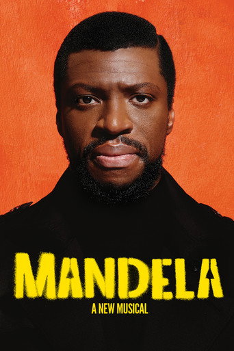 Póster de Mandela