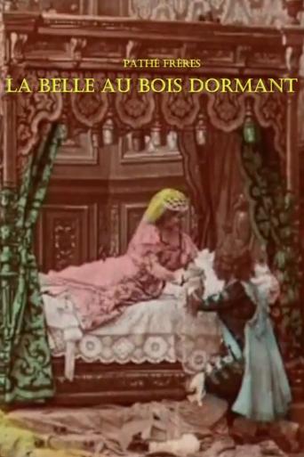 Póster de La Belle au bois dormant
