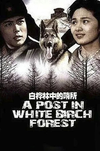 Póster de 白桦林中的哨所