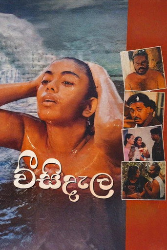 Póster de වීසි දැල