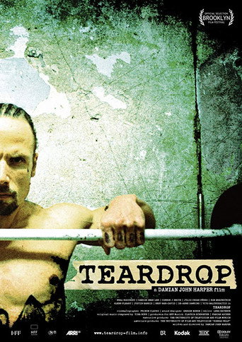 Póster de Teardrop