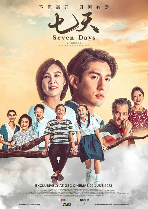Póster de 七天