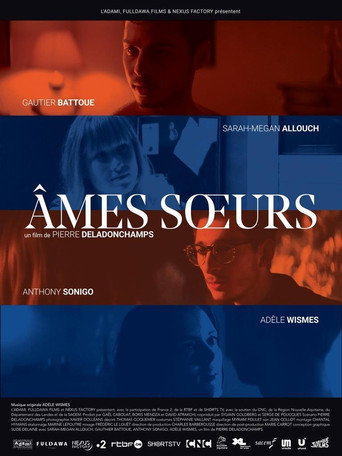 Póster de Âmes sœurs