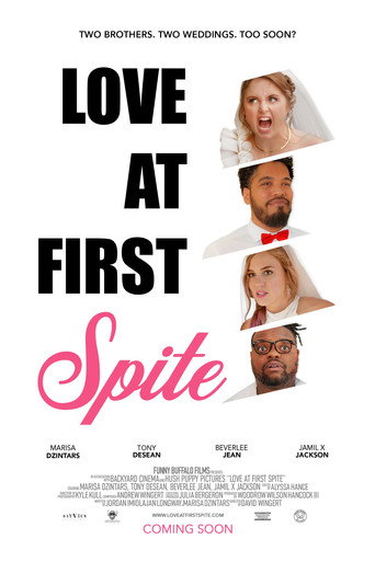 Póster de Love at First Spite