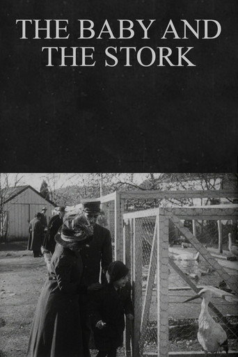 Póster de The Baby and the Stork
