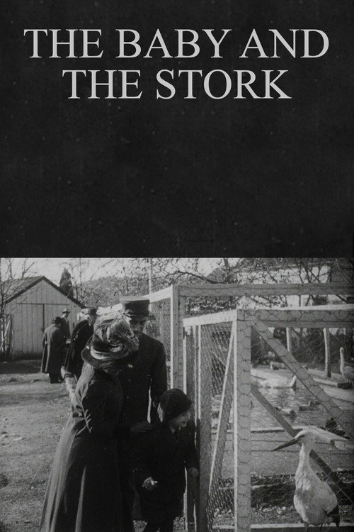 Póster de The Baby and the Stork