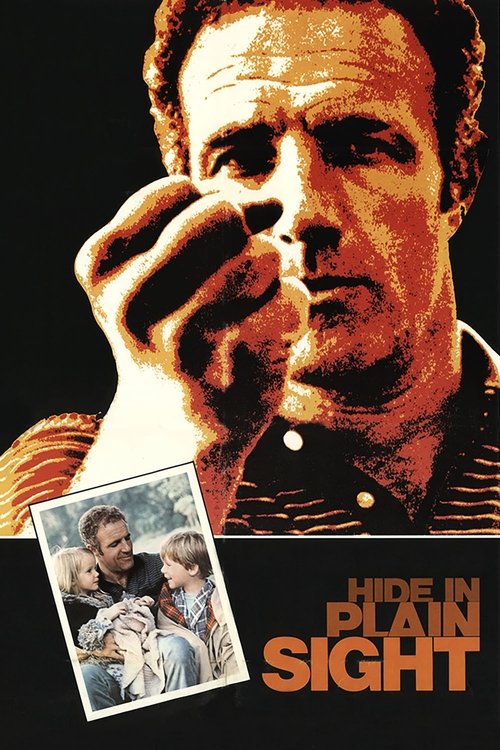 Póster de Hide in Plain Sight