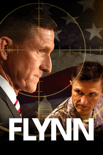 Póster de Flynn