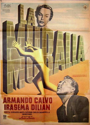 Póster de La muralla