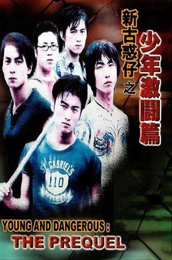 Póster de 新古惑仔之少年激鬥篇