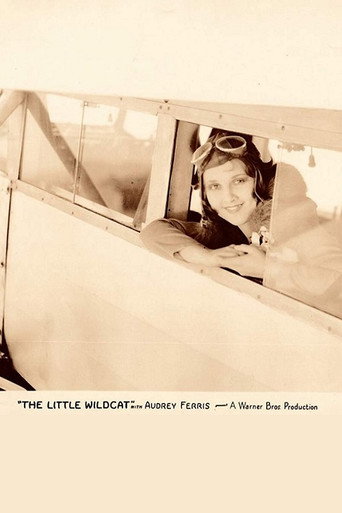 Póster de The Little Wildcat