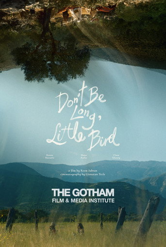 Póster de Don't Be Long, Little Bird