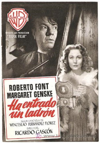 Póster de Ha entrado un ladrón