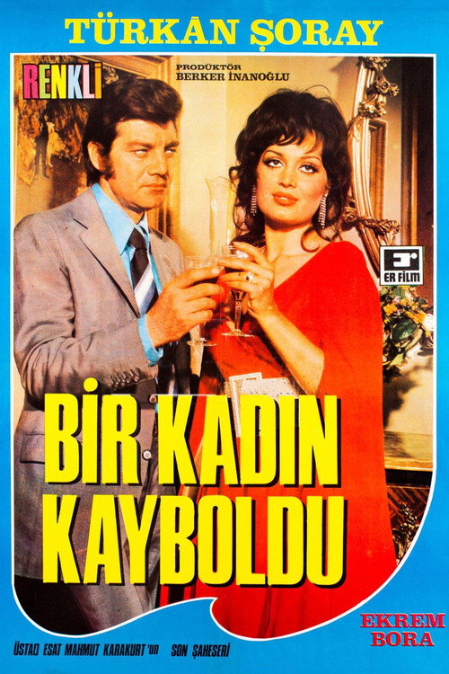 Póster de Bir Kadın Kayboldu