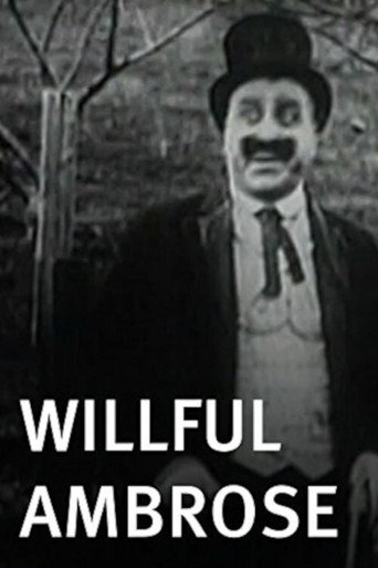 Póster de Willful Ambrose