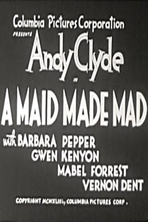 Póster de A Maid Made Mad